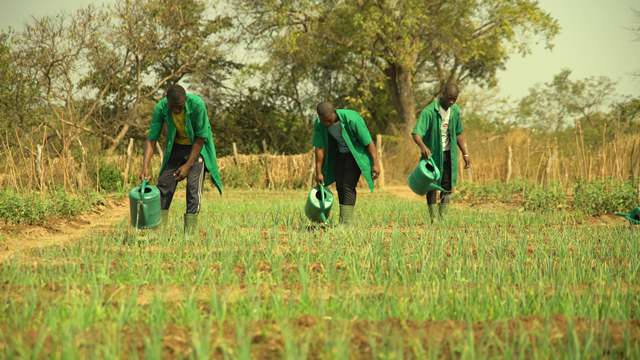 Formation agricole