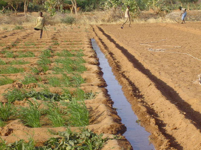Système d'irrigation